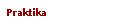 Praktika