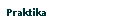 Praktika