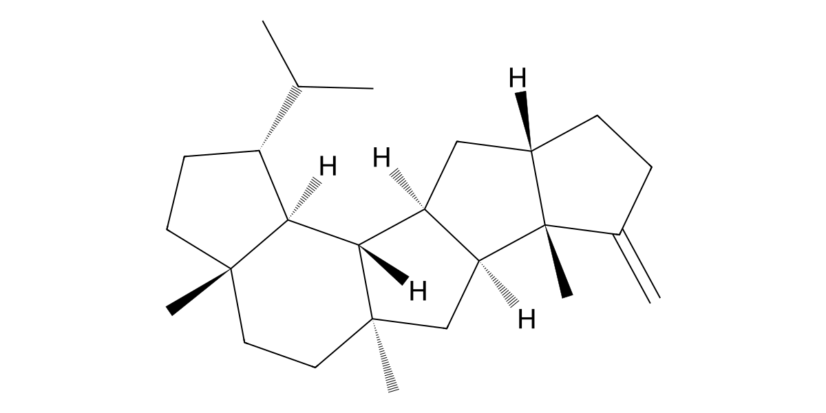 Image for Subrutilene A