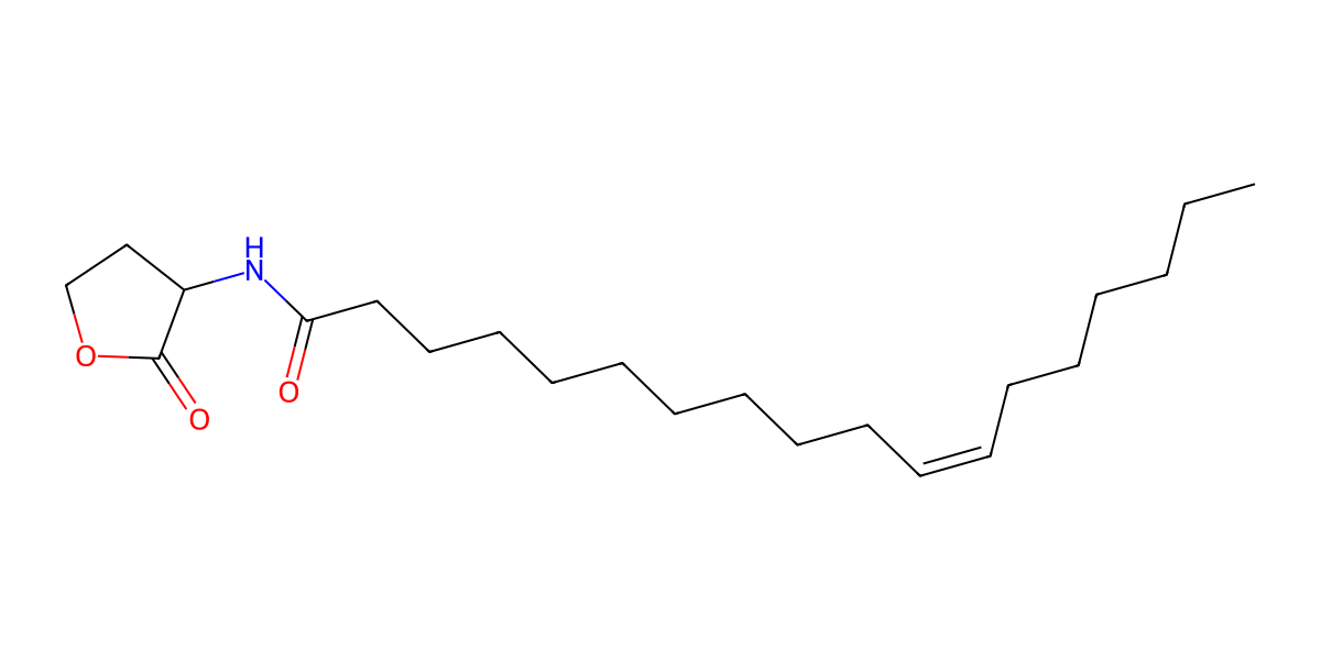 Image for (Z)-11-Octadecenoylhomoserine lactone