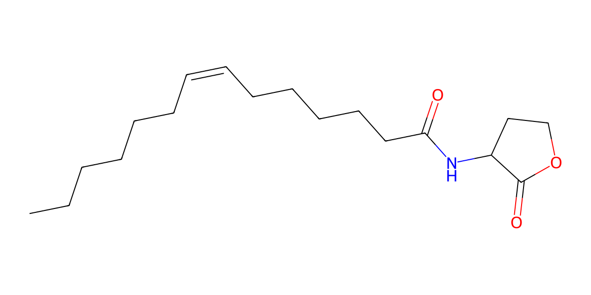 Image for (Z)-N-(Tetradec-7-enoyl)homoserine lactone