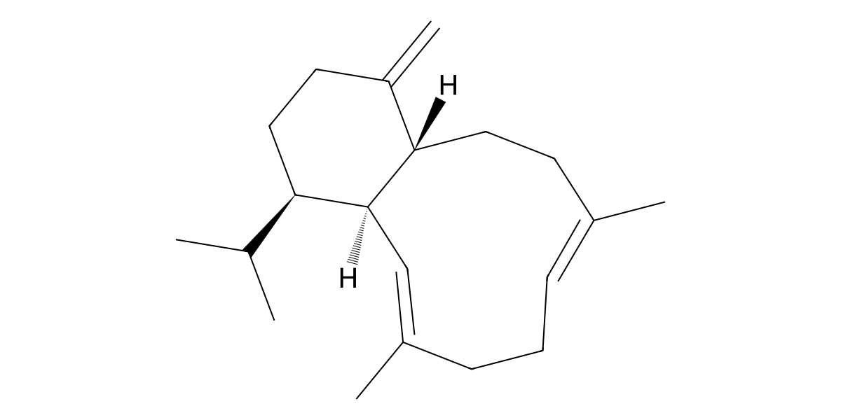 Image for Microeunicellene