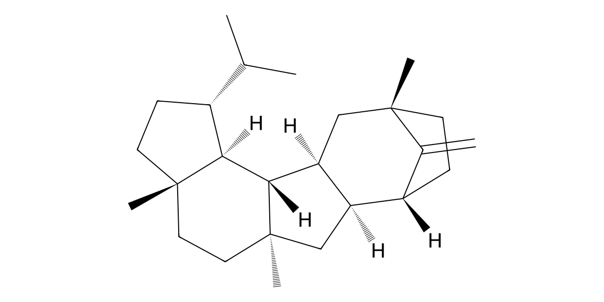 Image for Subrutilene F