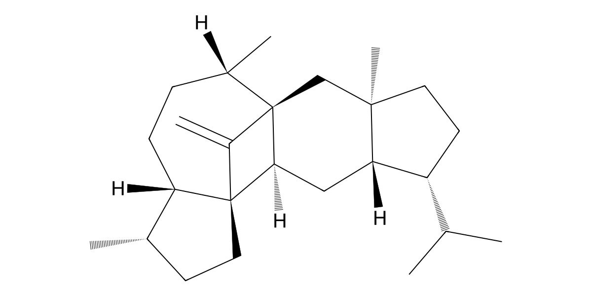Image for Sesterviridene J