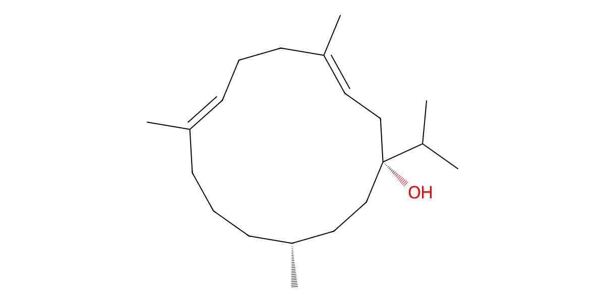Image for Chitinol