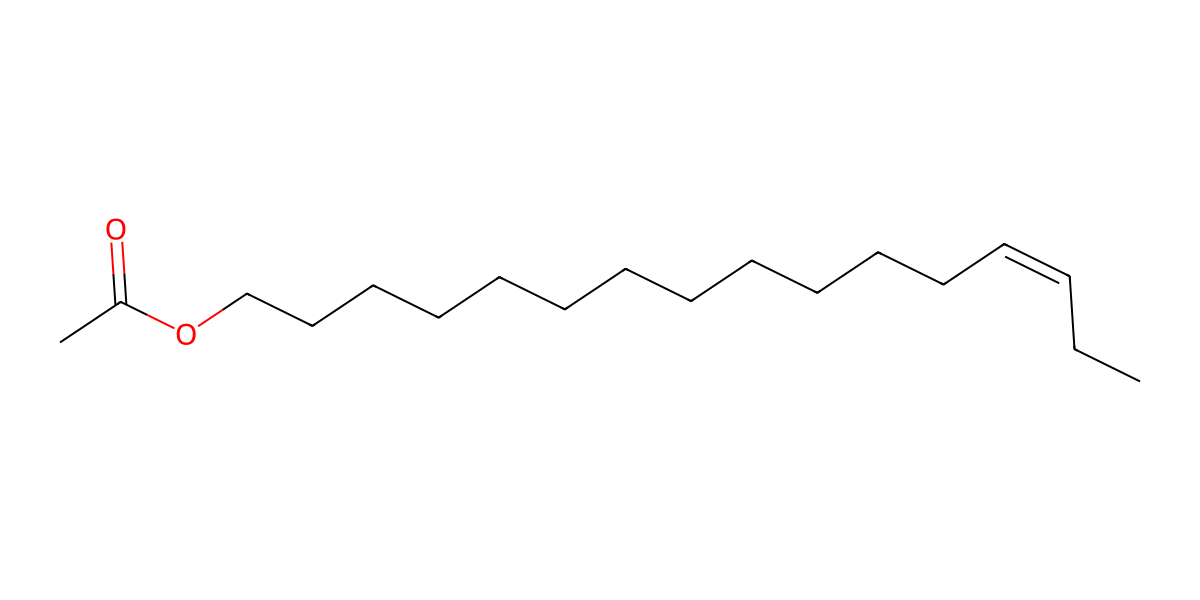 Image for (Z)-Hexadec-13-enyl acetate