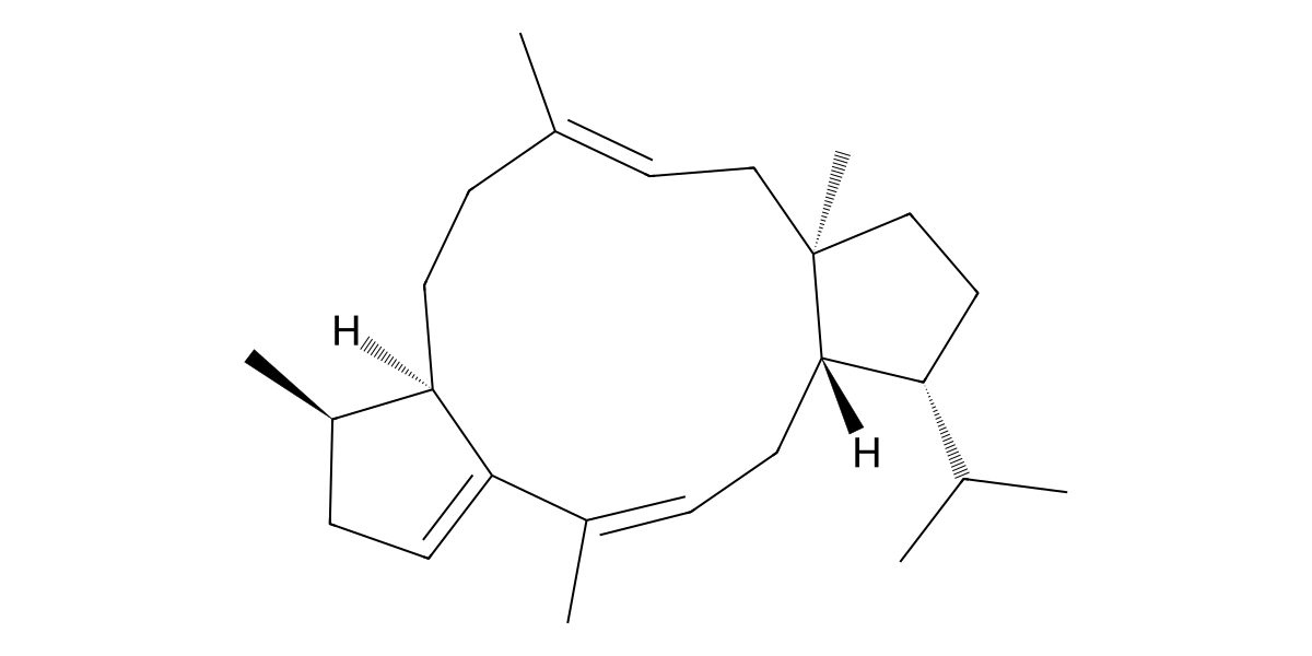 Image for Atacamatriene C