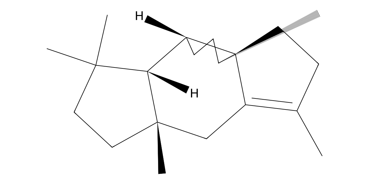 Image for Allokutznerene