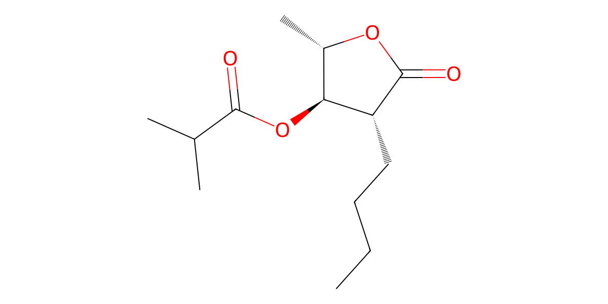 Image for (2S*,3R*,4R*)-2-Butyl-3-isobutyryloxy-4-pentanolide