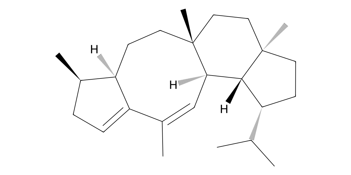 Image for Atacamadiene