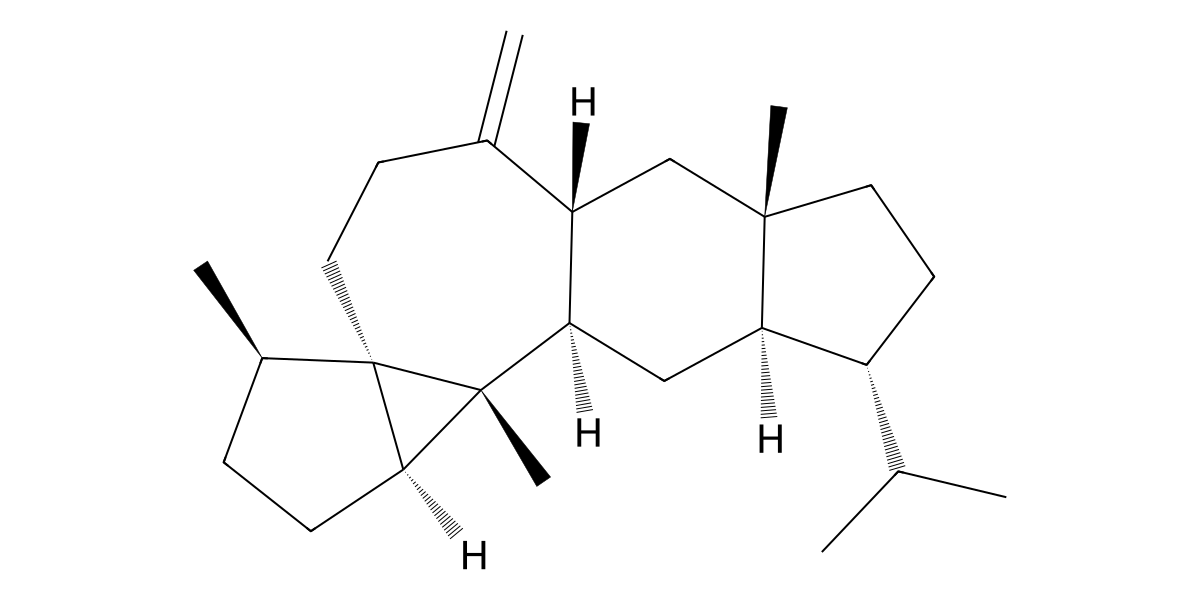 Image for Sestermobaraene F