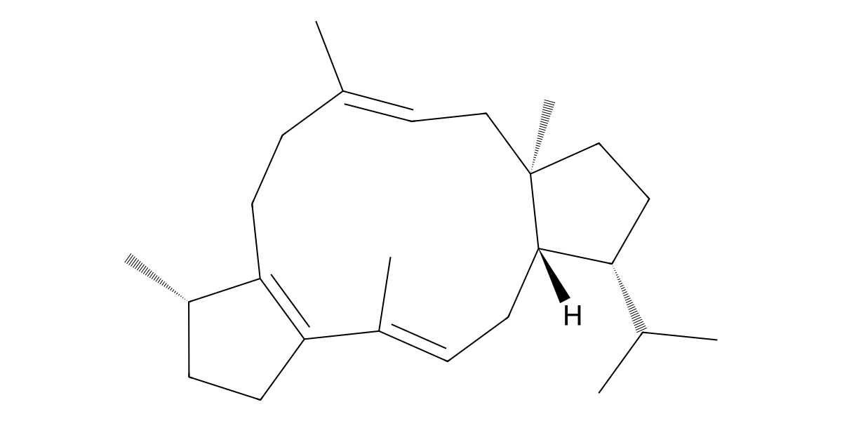 Image for Sesterviridene F