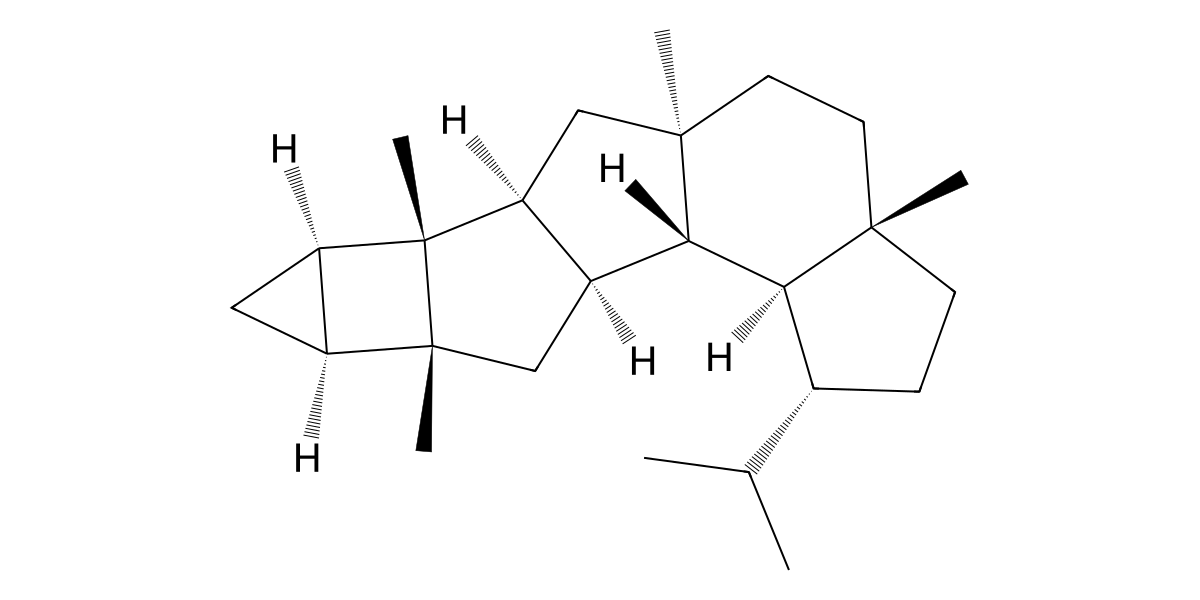 Image for Subrutilane