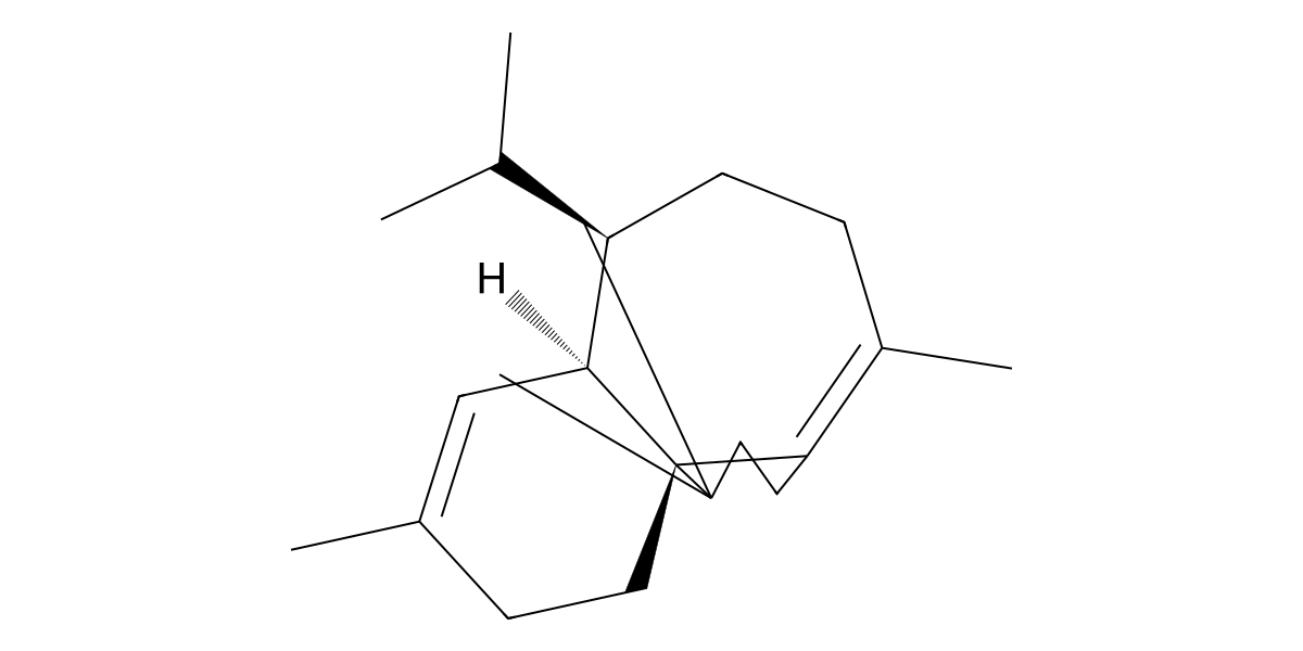 Image for Bonnadiene