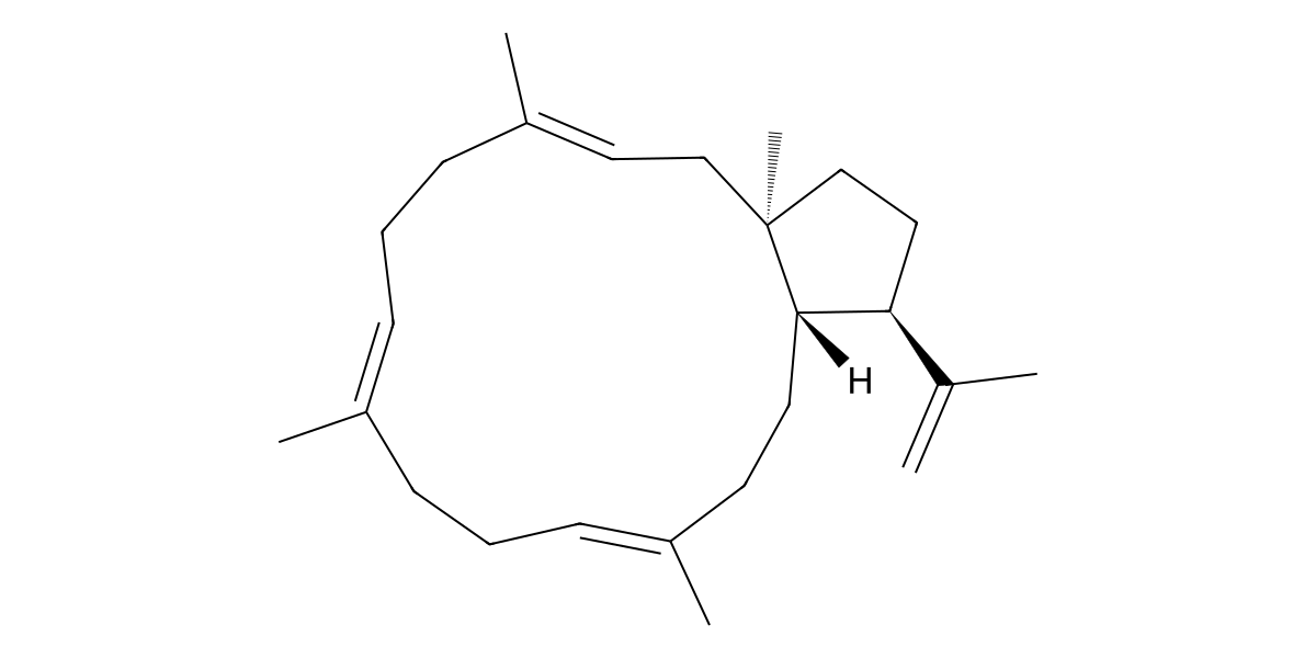Image for Lentzeatetraene
