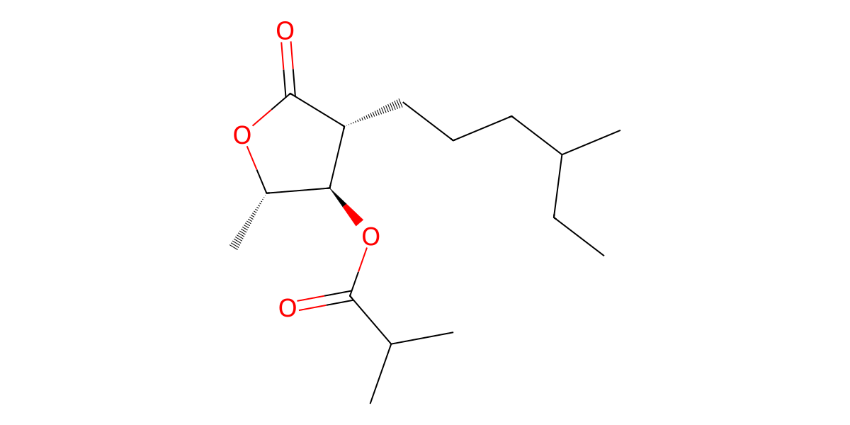 Image for (2S*,3R*,4R*)-3-Isobutyryloxy-(4-methylhexyl)-4-pentanolide