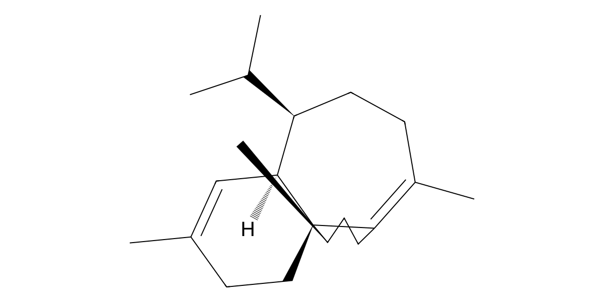 Image for Bonnadiene