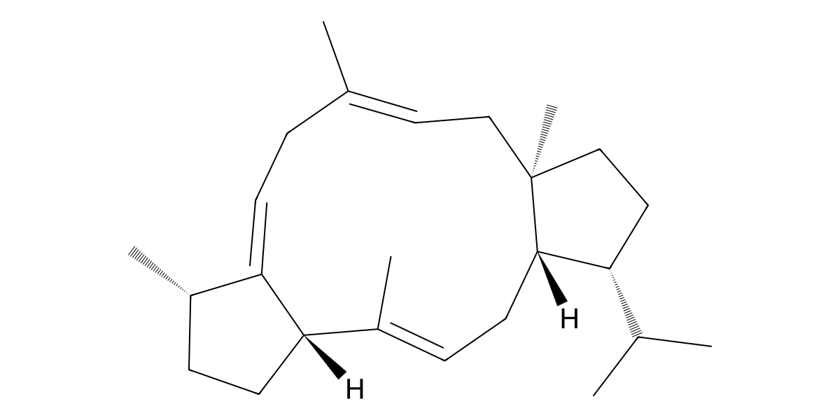 Image for Sesterviolene B