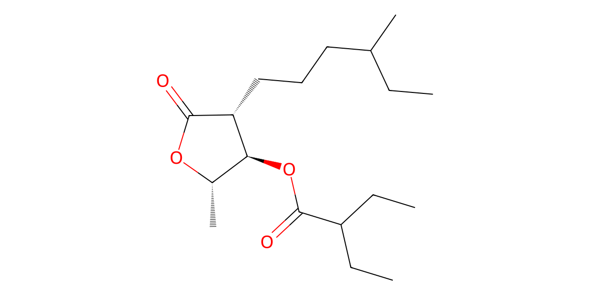 Image for (2S*,3R*,4R*)-3-(2-Ethyllbutyryloxy)-2-(4-methylhexyl)-4-pentanolide
