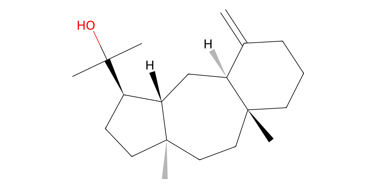 Image for Chitinopinol