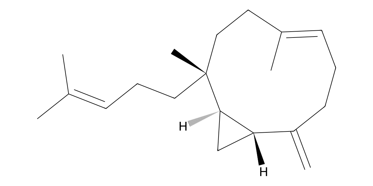 Image for Palmatene