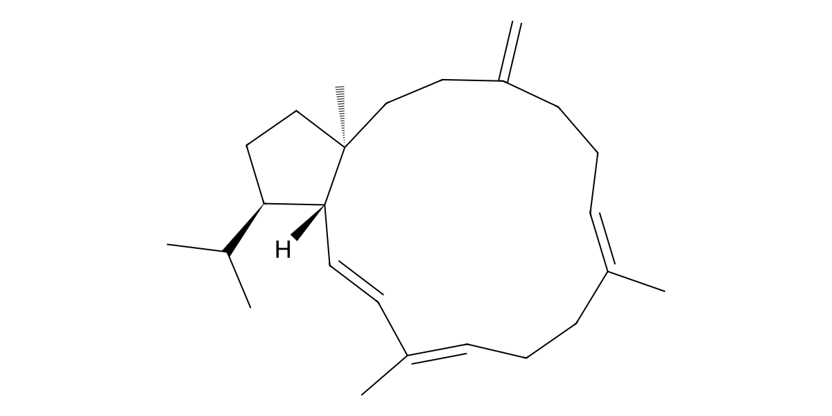Image for Sestermobaraene E
