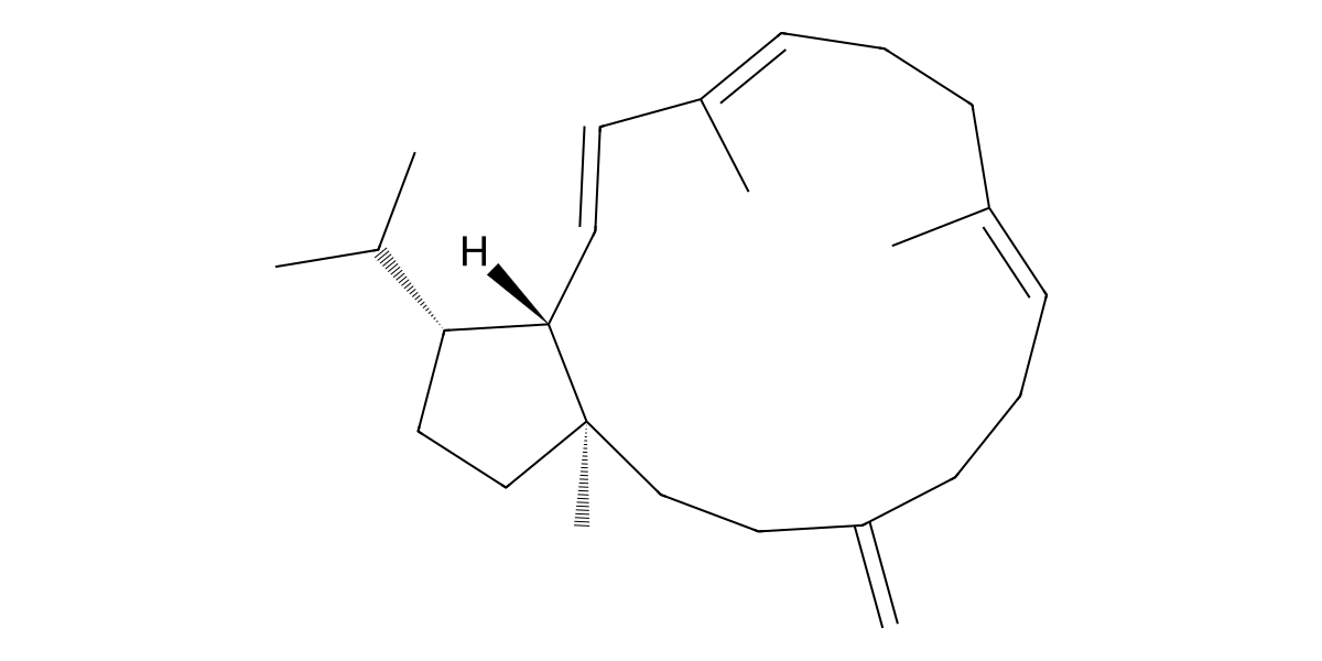 Image for Sesterviolene E