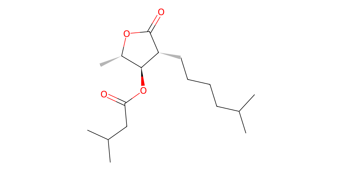 Image for (2S*,3R*,4R*)-2-(5-Methylhexyl)-3-(3-methylbutyryloxy)-4-pentanolide
