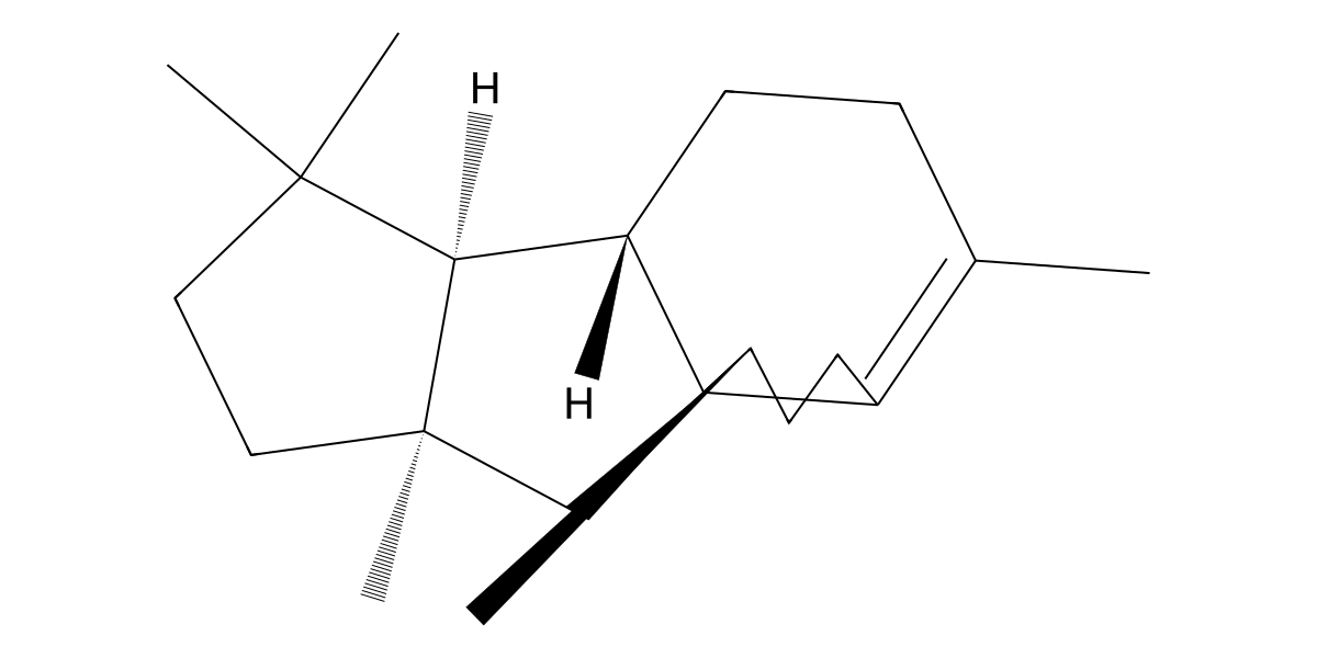 Image for Phomopsene