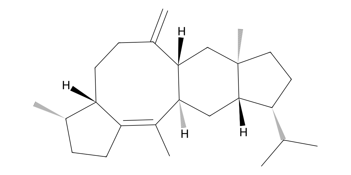 Image for Sesterviridene H
