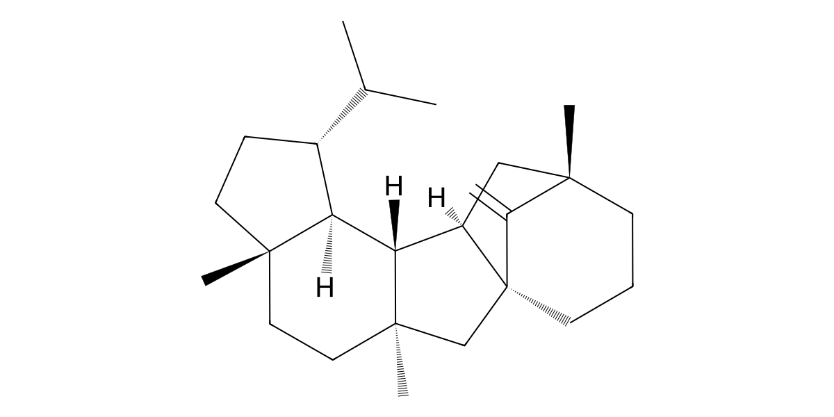 Image for Subrutilene E