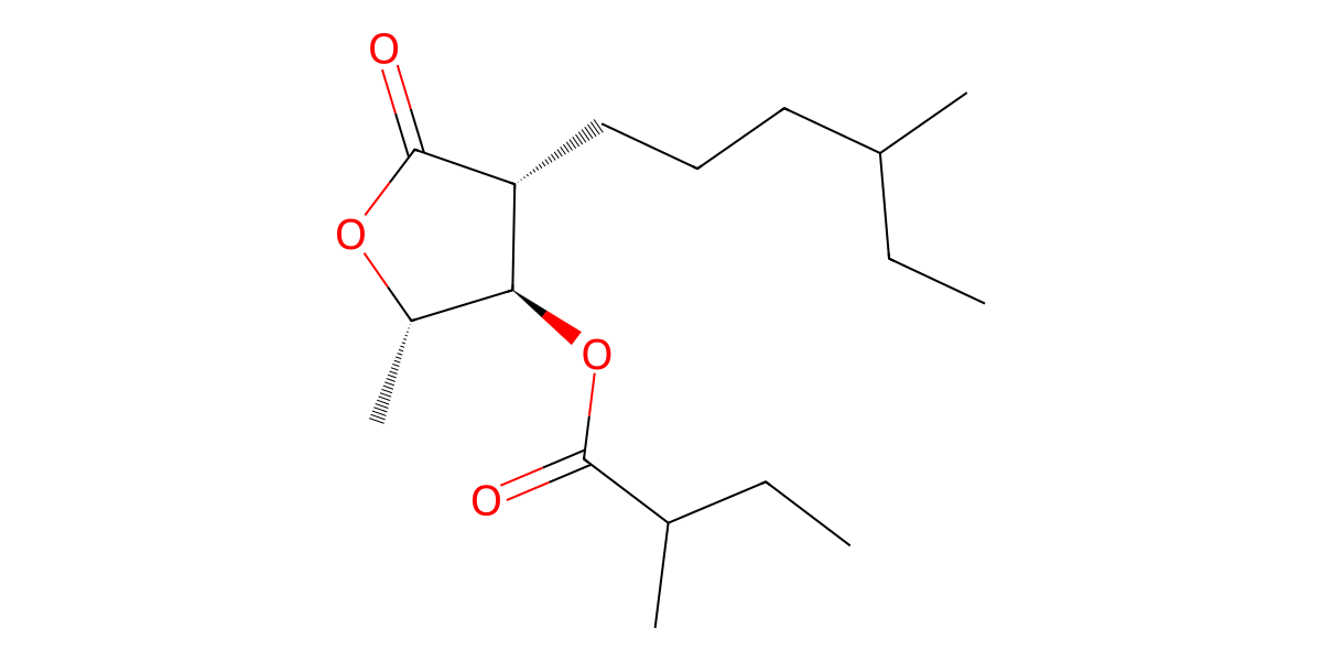 Image for (2S*,3R*,4R*)-2-(4-Methylhexyl)-3-(2-methylbutanoyloxy)-4-pentanolide