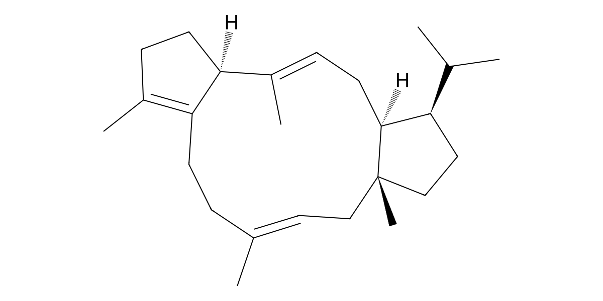 Image for Sesterviridene E