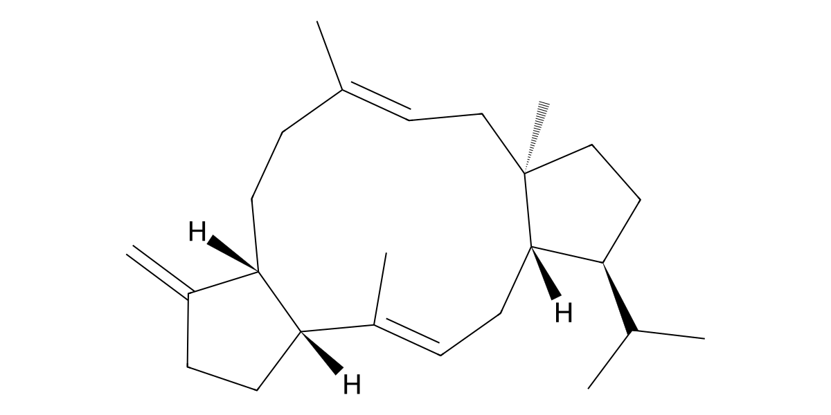 Image for Sesterbrasiliatriene