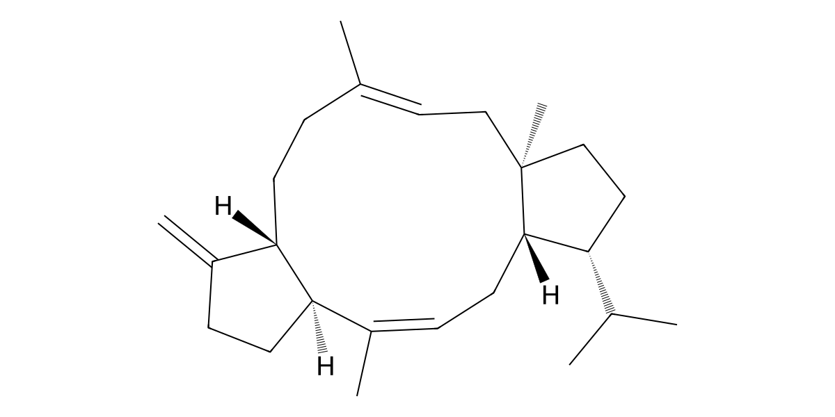 Image for Atacamatriene E