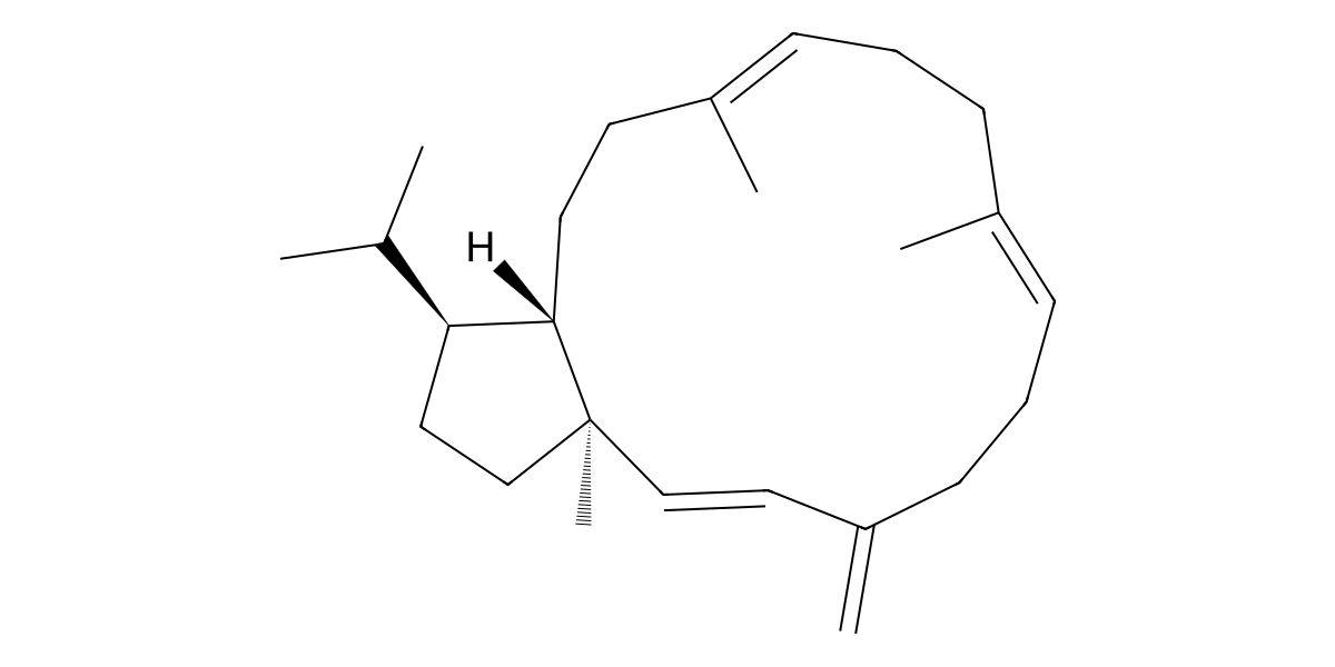 Image for Sesterviolene G