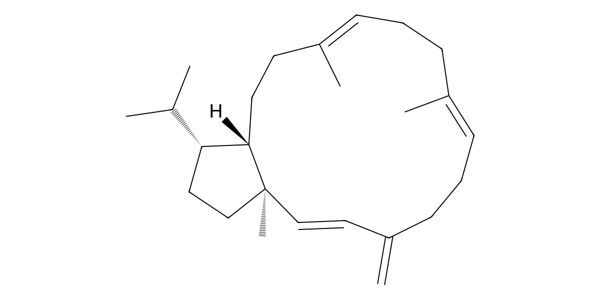 Image for Sesterviolene F